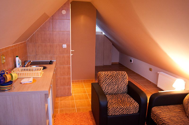  VILA SKI RADAN