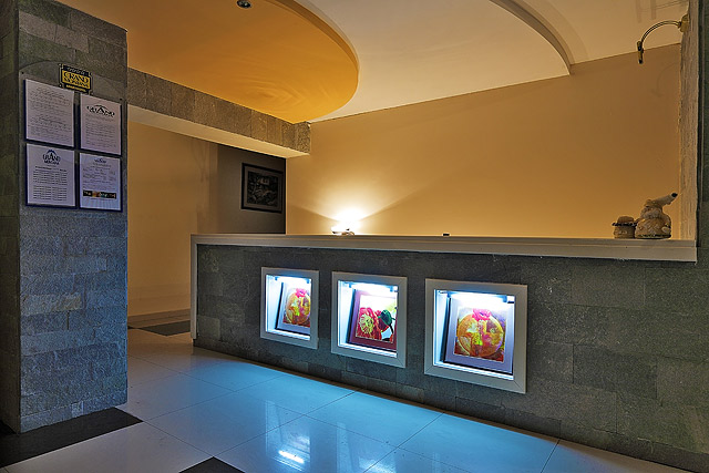 Aparthotel Grand Montana