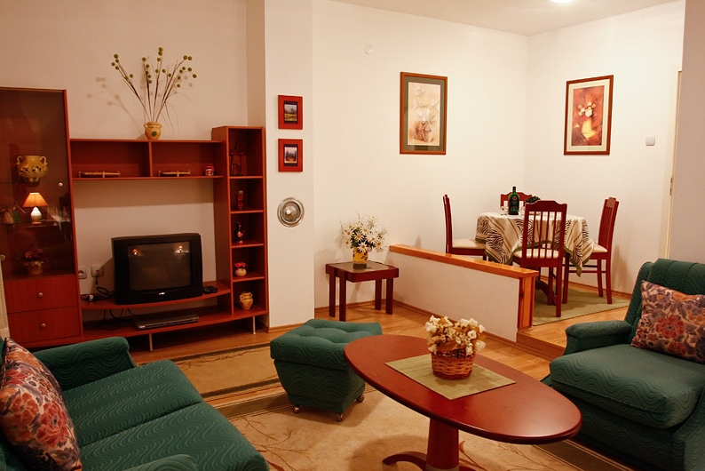 Vila KaÄ‡un Zlatibor