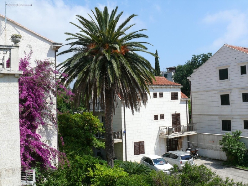 Vila Micika Dubrovnik
