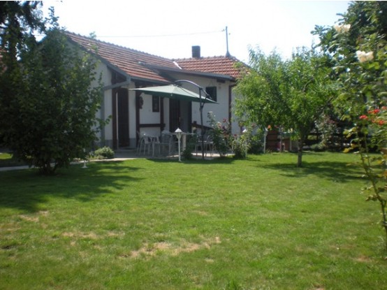 The Garden