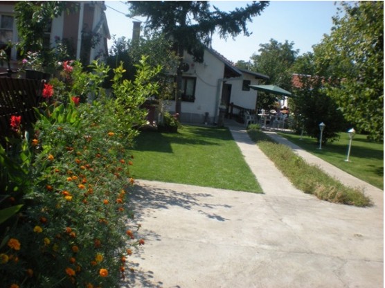 The Garden