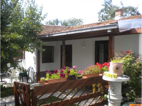 The Garden