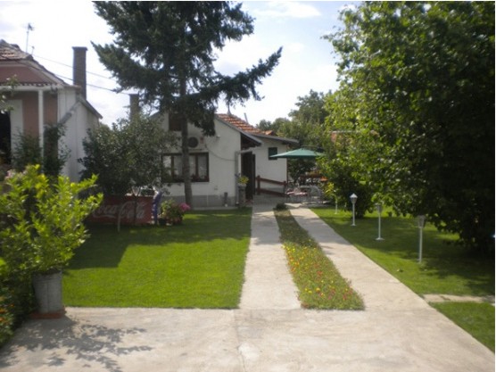 The Garden