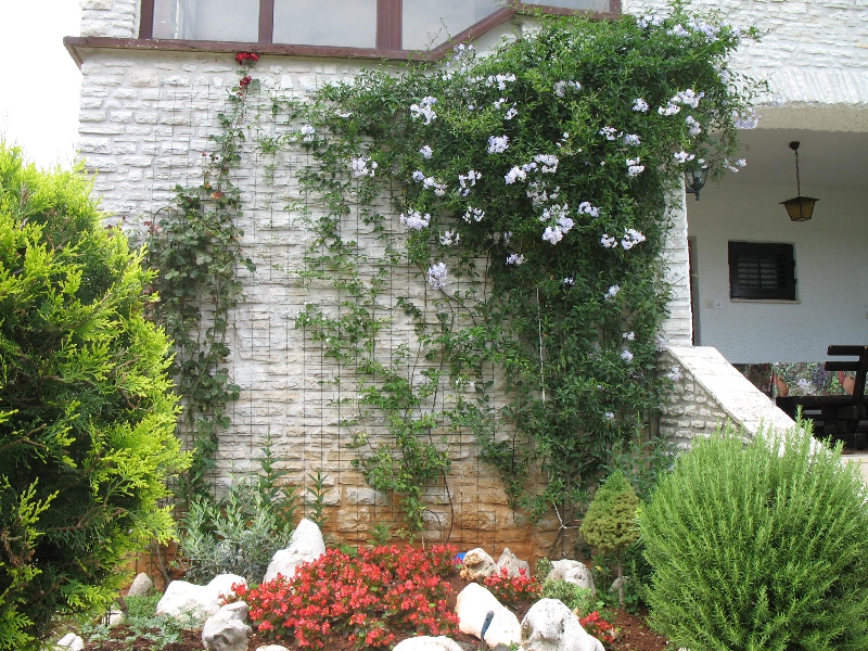 Villa Otilija