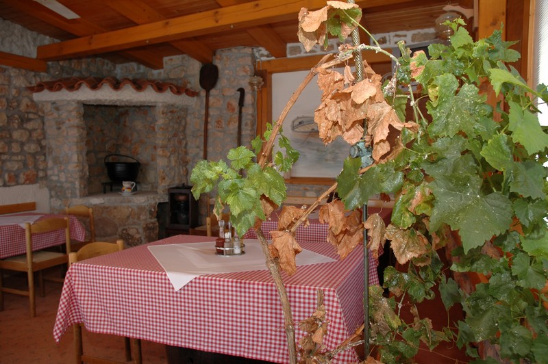 KuÄ‡a Å TOKIÄ†
