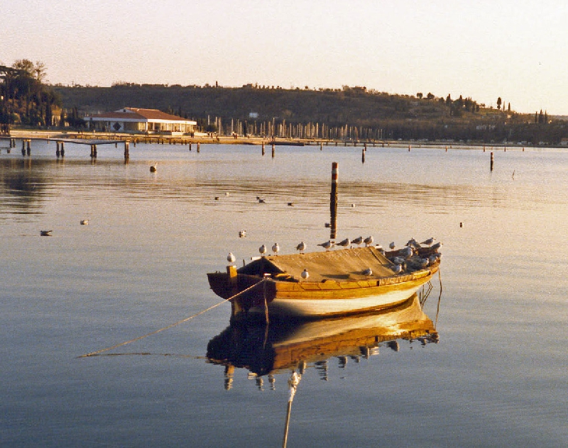 Apartman Poseidon PortoroÅ¾