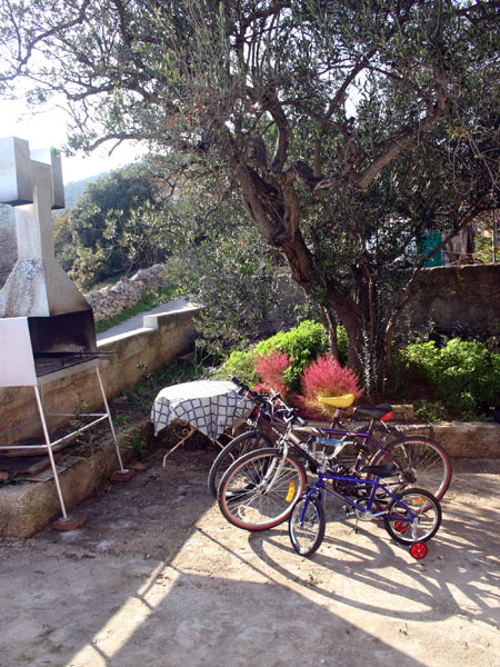 Apartmani OrliÄ‡ - ViniÅ¡Ä‡e
