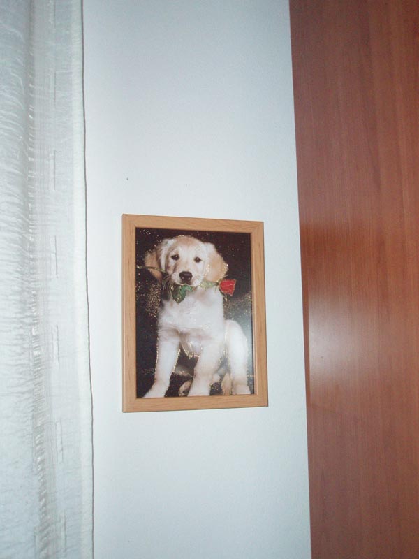 Apartmani Tea Pazin