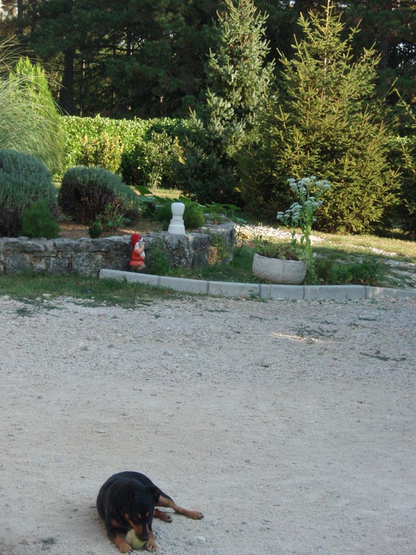 Apartmani Tea Pazin
