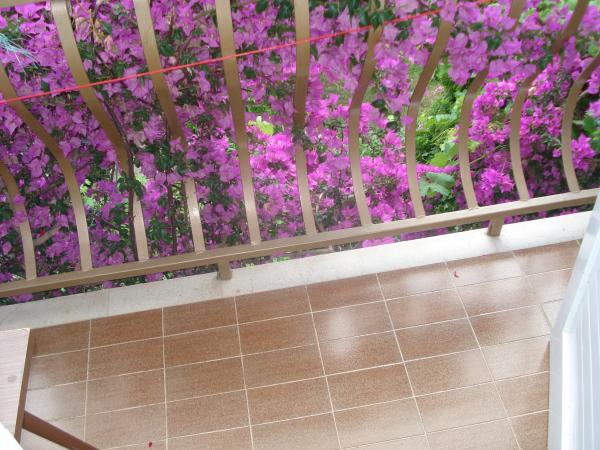 Apartmani i sobe Moso