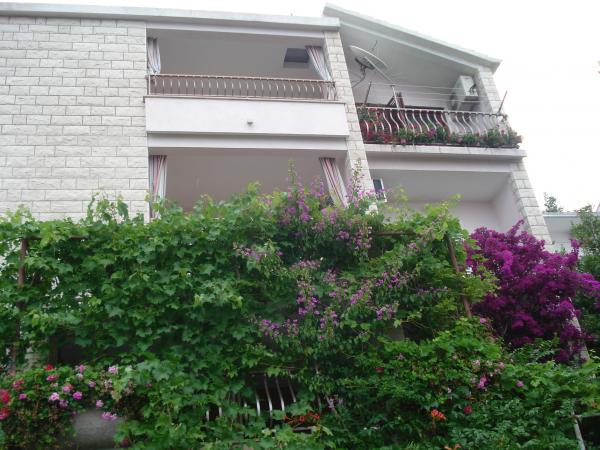 Apartmani i sobe Moso