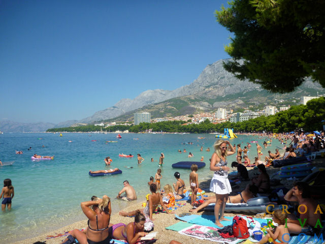 Villa Orhideja