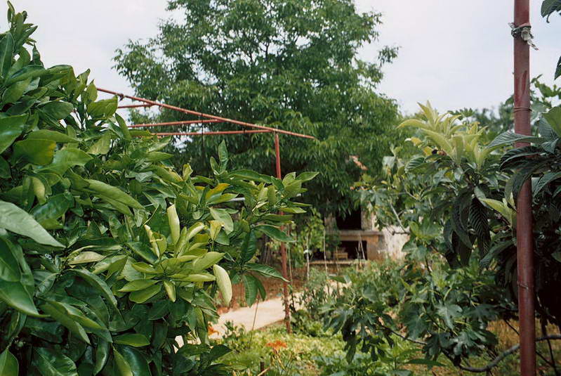 Apartmani Karmela