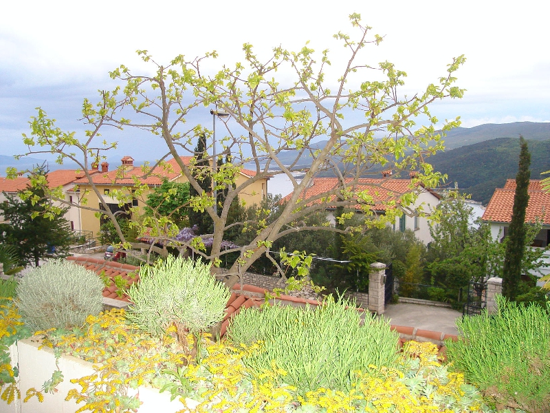 Villa Mare Rabac