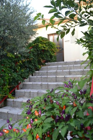 Villa Maria