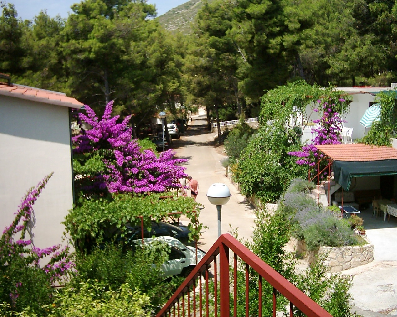 Apartmani CariÄ‡