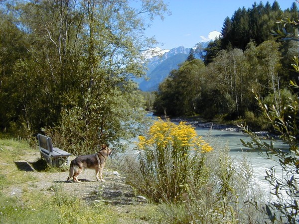 AineterHof Tirol