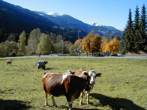 AineterHof Tirol