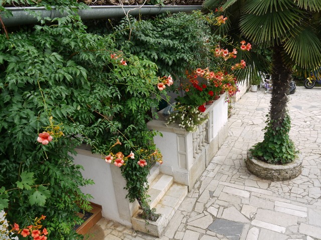 Apartmani BelÅ¡a