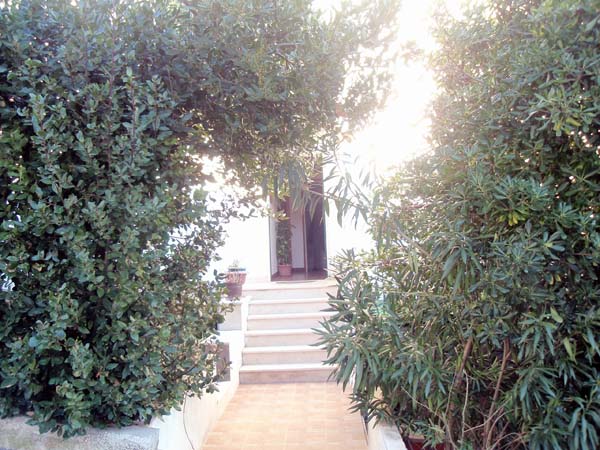 Apartmani Ivana-BraÄ