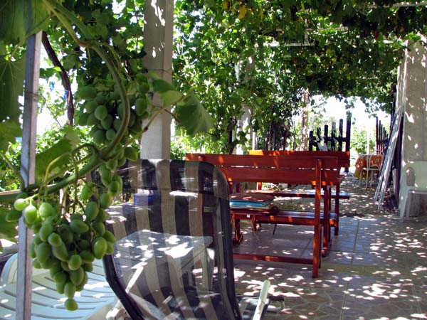 Apartmani Ivana-BraÄ