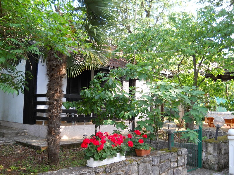 STARFISH BUNGALOWS - Apartments