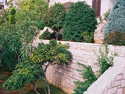 Apartmani Mareblu
