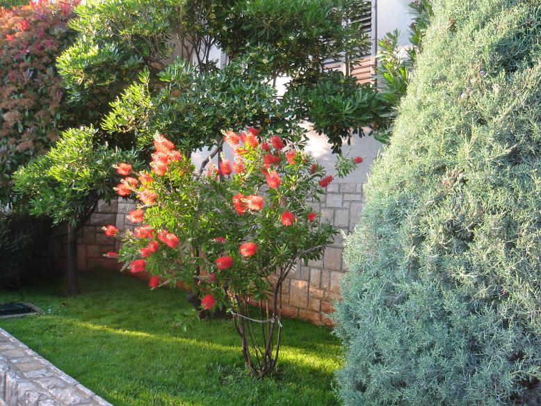 Apartmani Mareblu