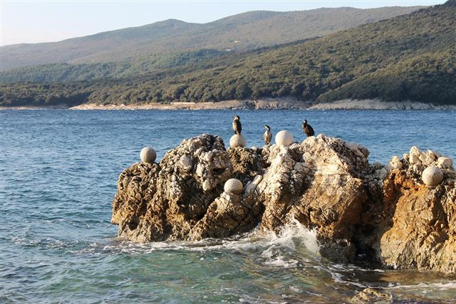 Apartmani Mareblu