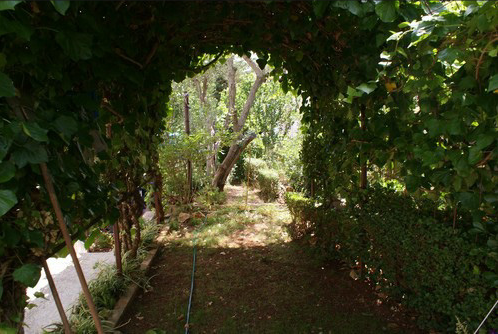 Pansion Ana LoÅ¡inj