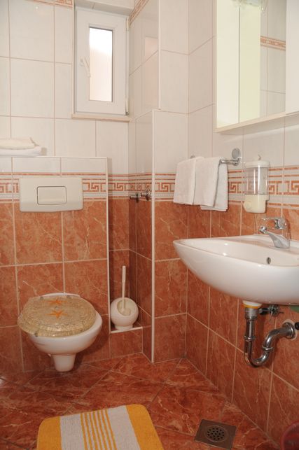 Villa Rozika BaÅ¡ka voda