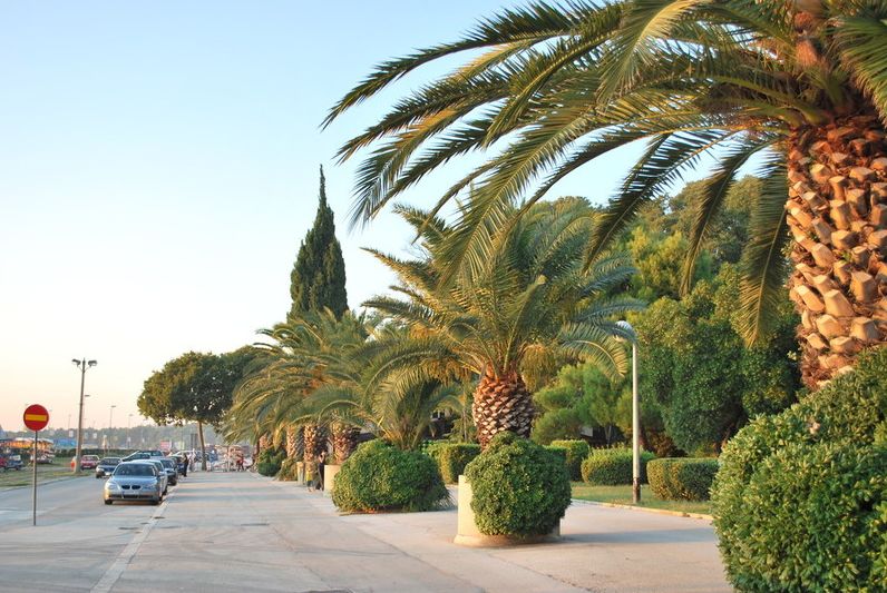 Apartmani Marin-Pula