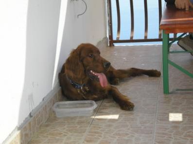 Villa Oliandar