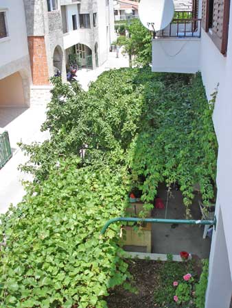 Apartmani Klara Makarska