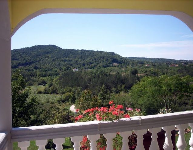 Apartmani ZareÄki krov