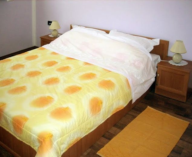 Apartmani ZareÄki krov