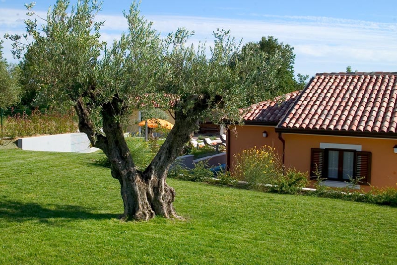 Villa GioAn Istra