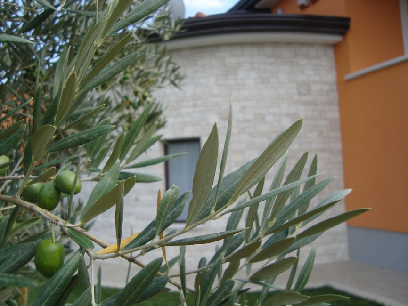Villa GioAn Istra