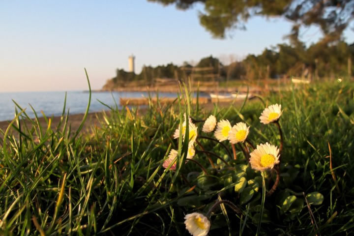 Villa Vilola