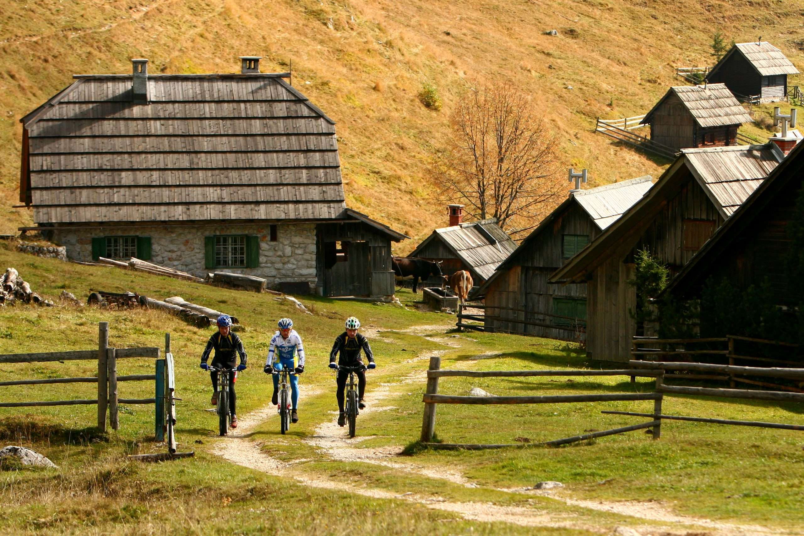 Vila Triglav